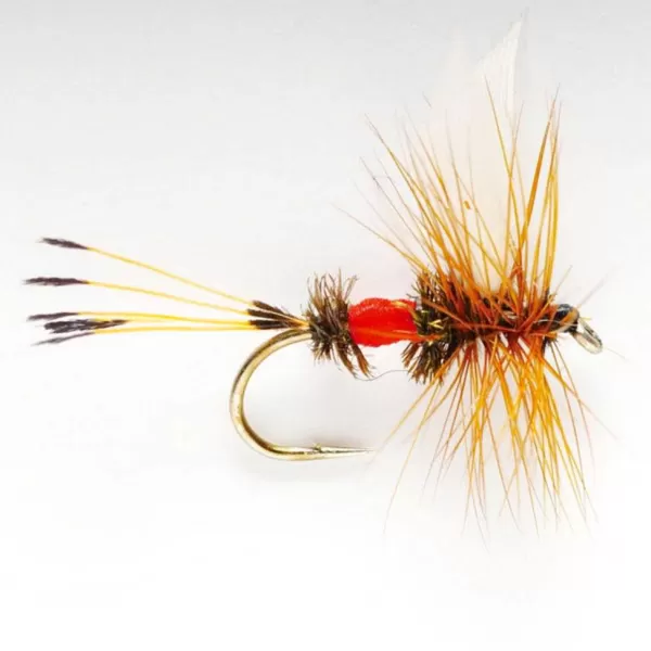 Orvis Royal Coachman | Dry Flies